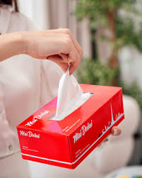 MAI DUBAI WET WIPES 80pcs