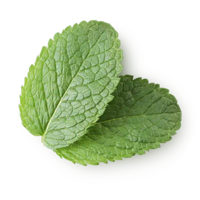 NIVEA MEN FRESH KICK SHAVE FOAM 200ML