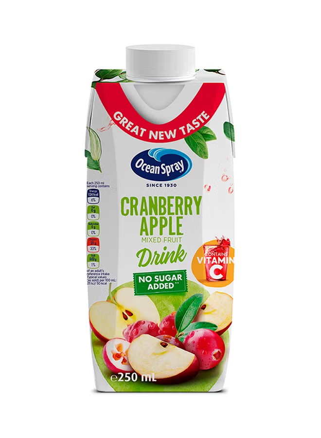 OCEANSPRAY CRANBERRY APPLE JUICE 250ml