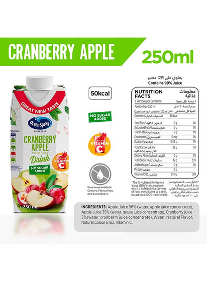 OCEANSPRAY CRANBERRY APPLE JUICE 250ml