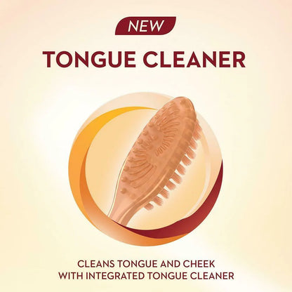 ORAL B CLOVE TOOTHBRUSH 3Pcs