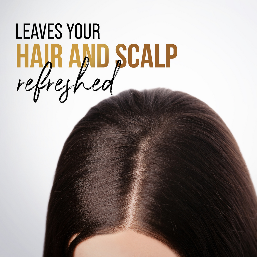 PANTENE PURIFY & CLEANSE OIL SHAMPOO 400ML