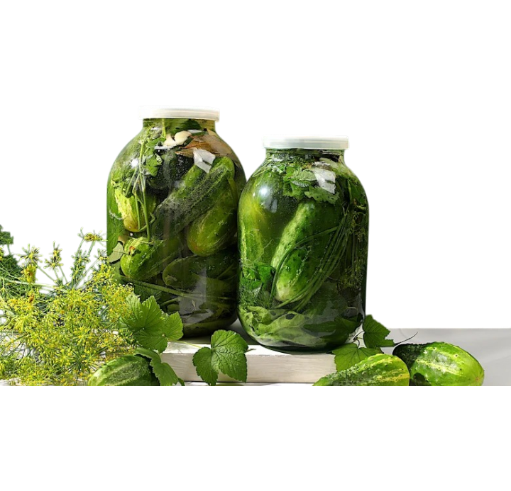 Bahaneh Salty Cucumber Pickle, 620g
