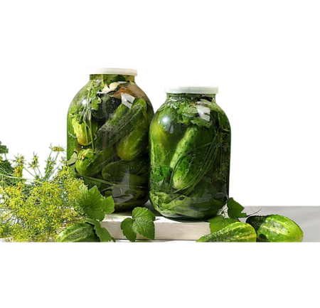 Bahaneh Salty Cucumber Pickle, 620g