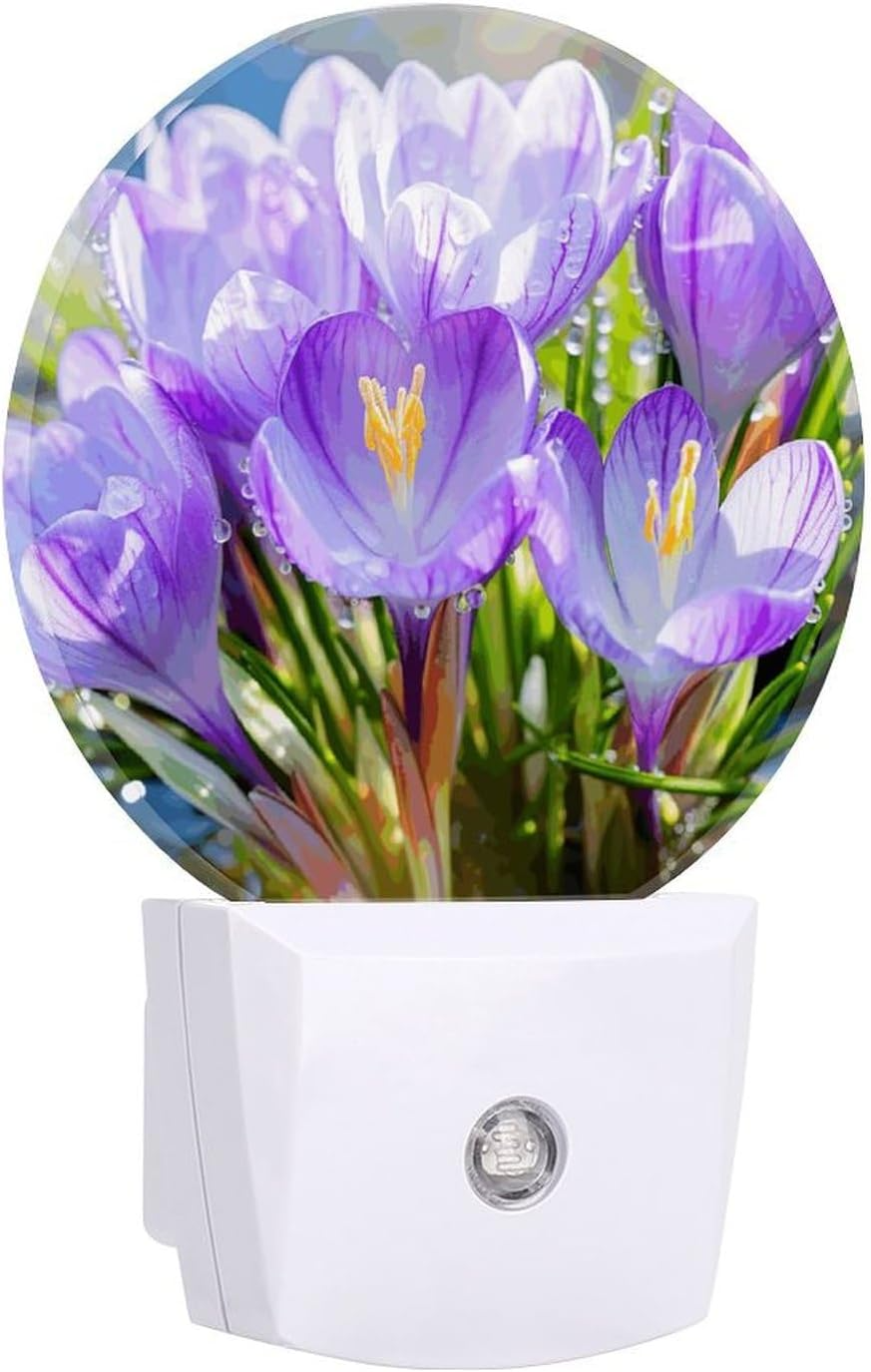 SAFFRON LED NIGHT LIGHT QL-502