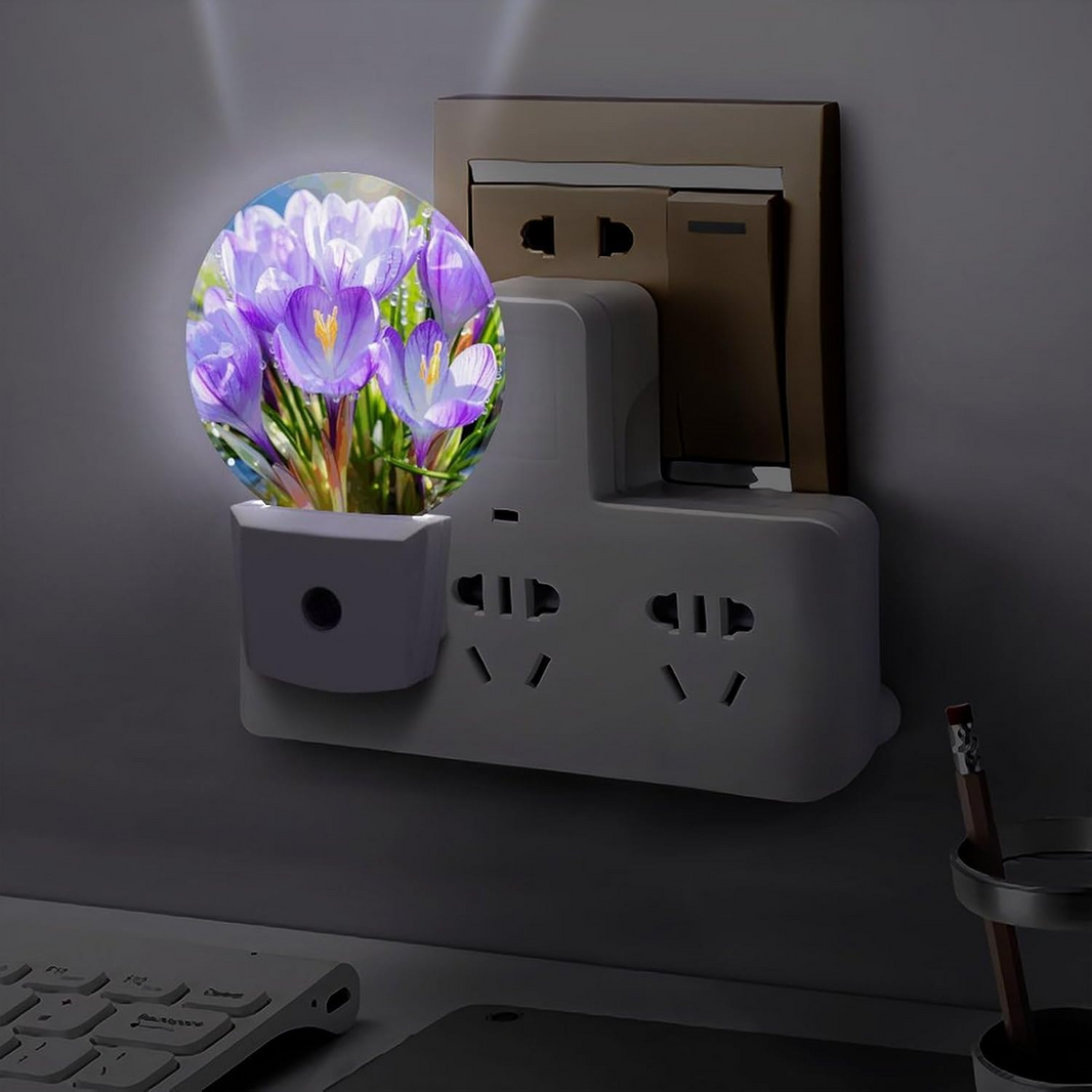 SAFFRON LED NIGHT LIGHT QL-502