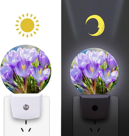 SAFFRON LED NIGHT LIGHT QL-502