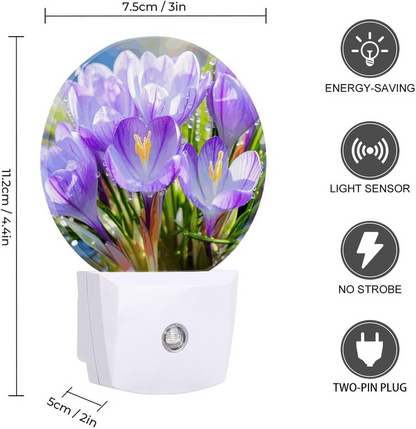 SAFFRON LED NIGHT LIGHT QL-502