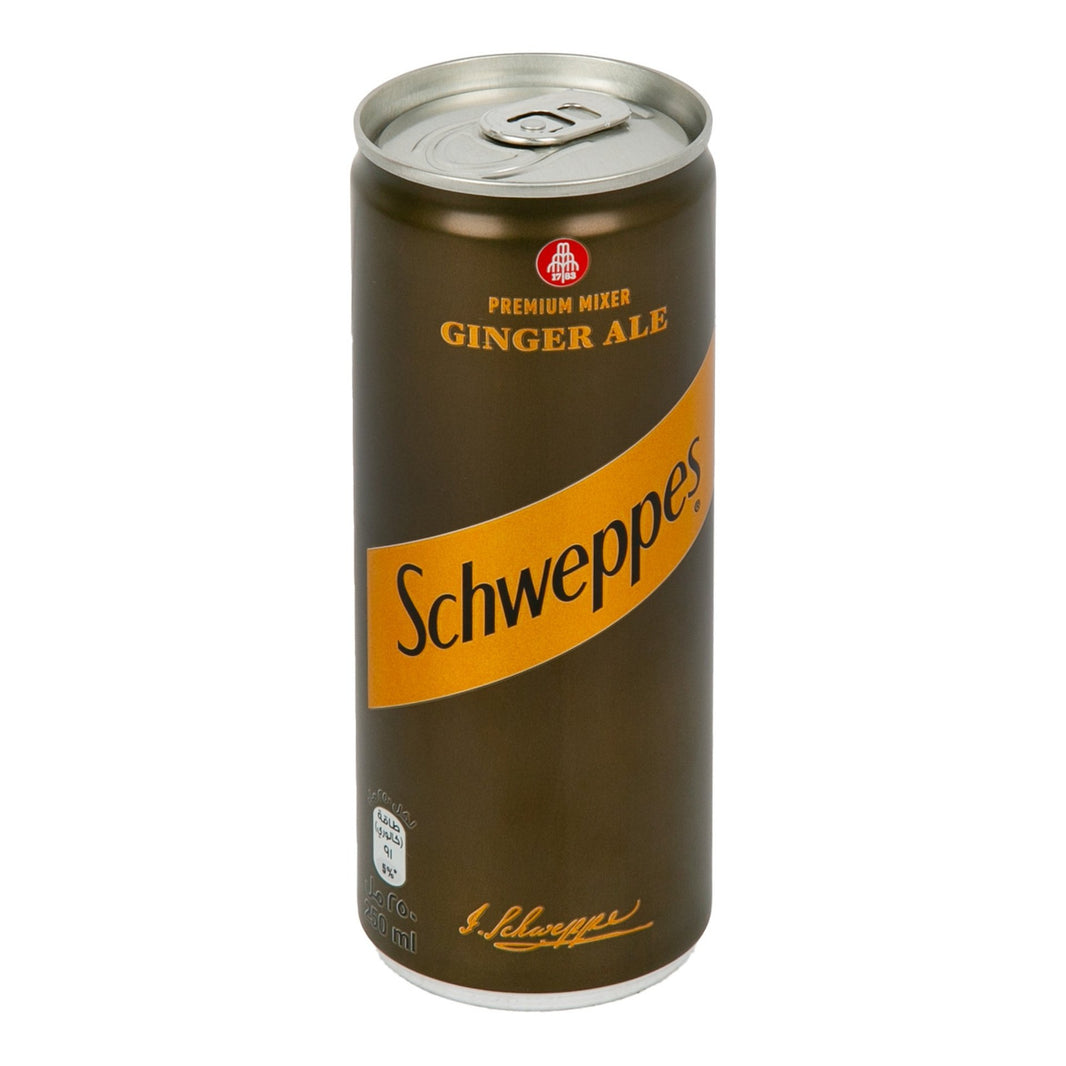 SCHWEPPES GINGER DRINK 250ml