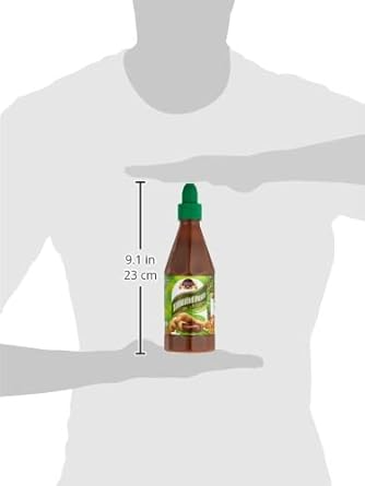 TAMARIND PASTE 485gm