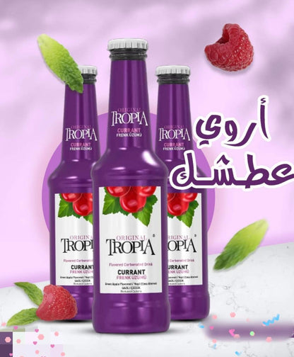 TROPIA CURRANT DRINK 250ml