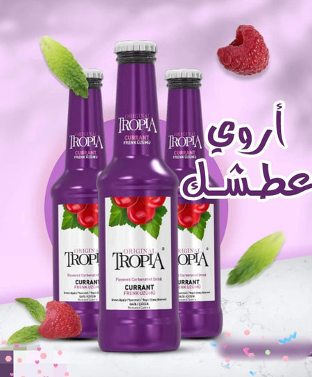 TROPIA CURRANT DRINK 250ml