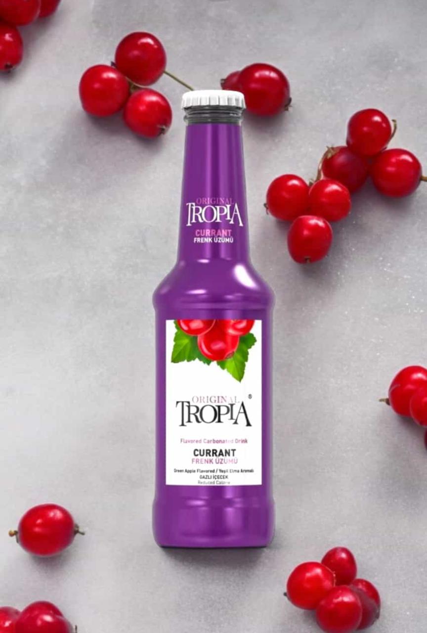 TROPIA CURRANT DRINK 250ml