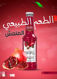 TROPIA POMEGRANATE DRINK 250ml