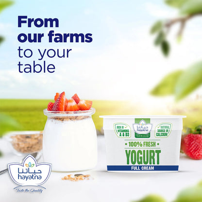 Hayatna Full Cream Stirred Strawberry Yogurt, 170g