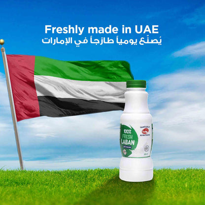 Al Ain Farms Full Cream Fresh Laban, 500ml