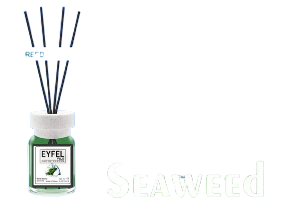 Eyfel Seaweed Air Freshener, 120ml