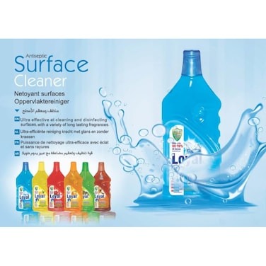 Loyal Oriental Treasure Surface Cleaner, 800ml