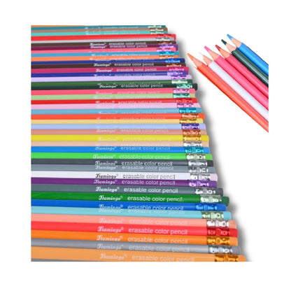 Flamingo F-546 Erasable Colour Pencil
