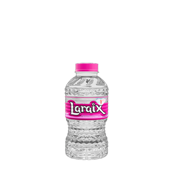 Laraix Bottled Drinking Water, 24x200ml
