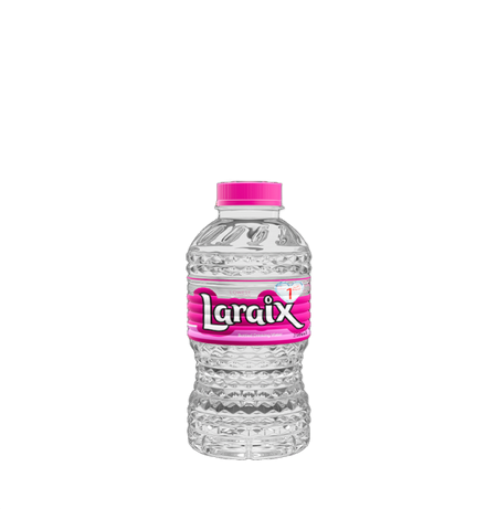 Laraix Bottled Drinking Water, 24x200ml