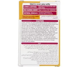 BIGEN POWDER HAIR DYE 6gm BLACK