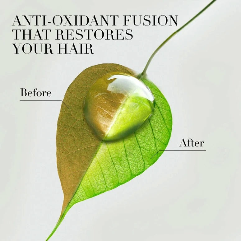 Herbal-Essences-MENA-EN-Argan-oi